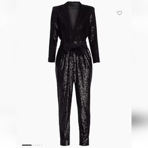 A.L.C.Kieran Sequin Jumpsuit Sz 6